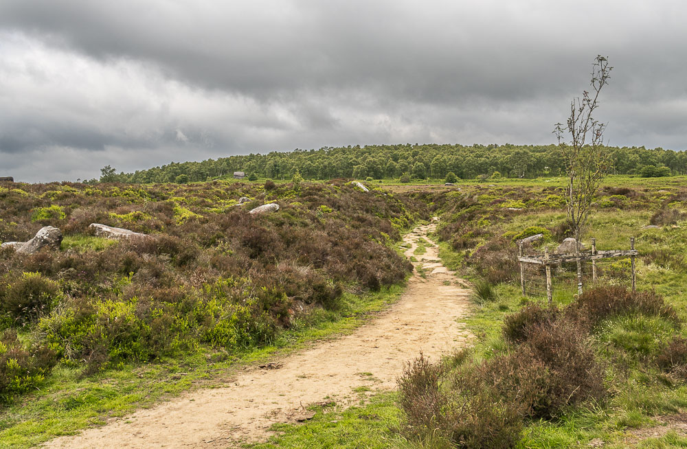 Padley Gorge Padley Gorge